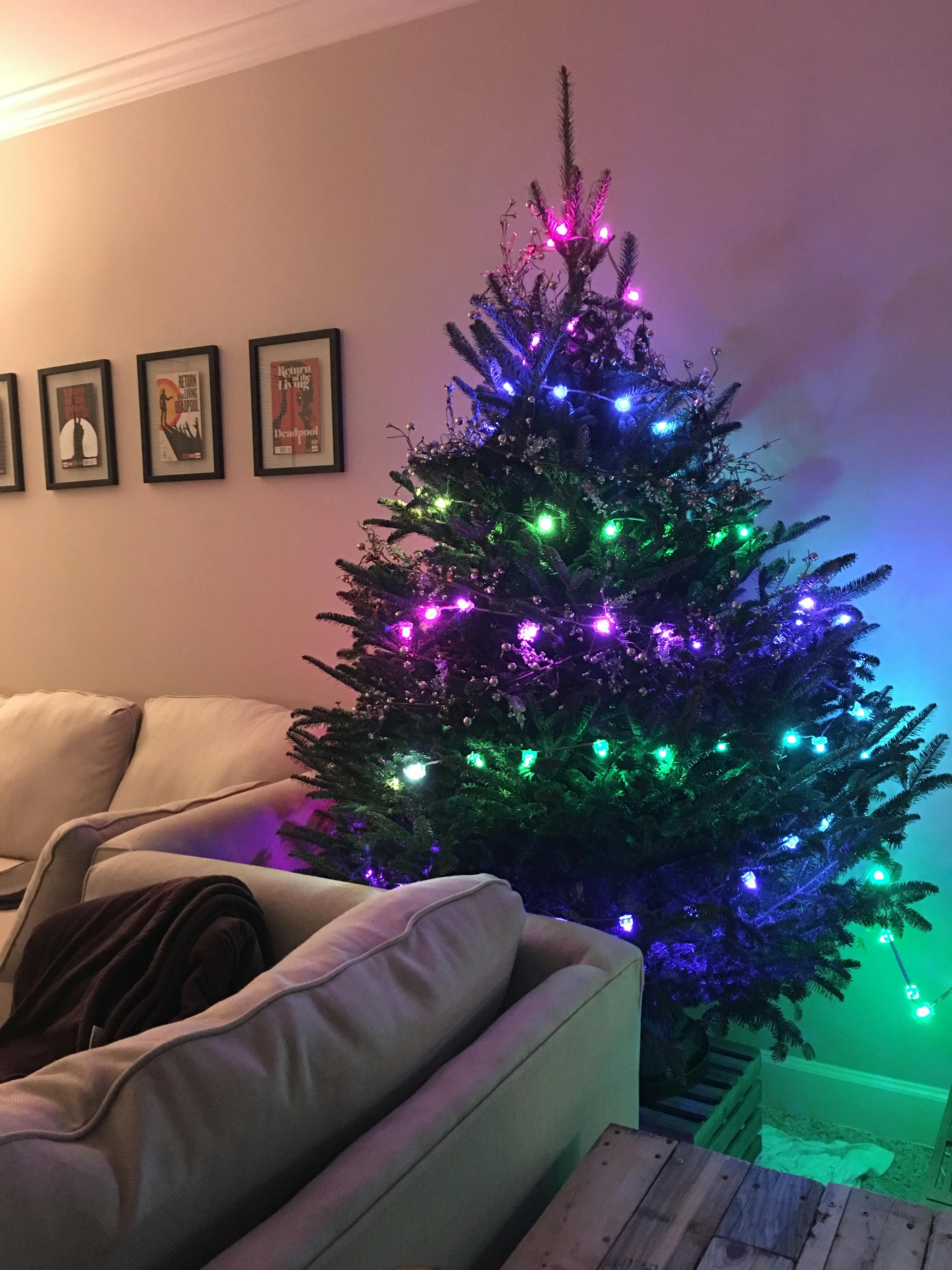 tree_with_lights